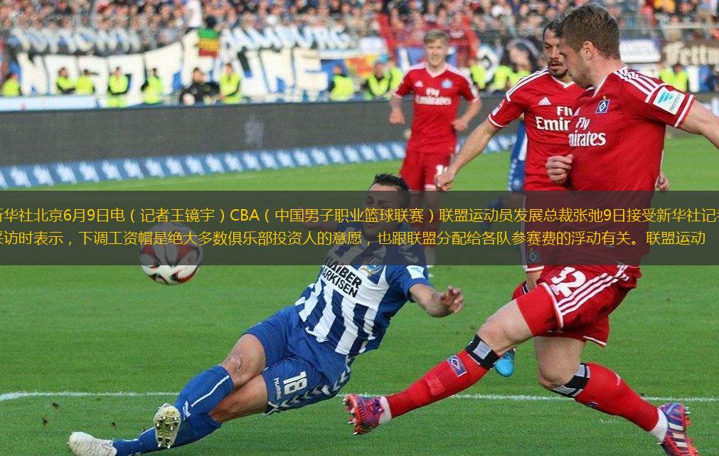 因职业生涯