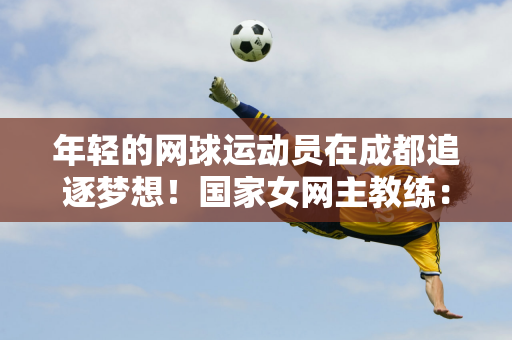 和球员阵容